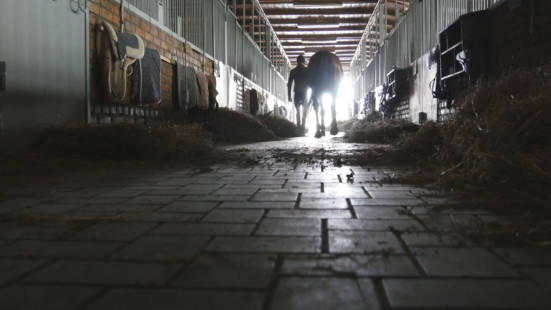 Horse owner walking horse out of a stable