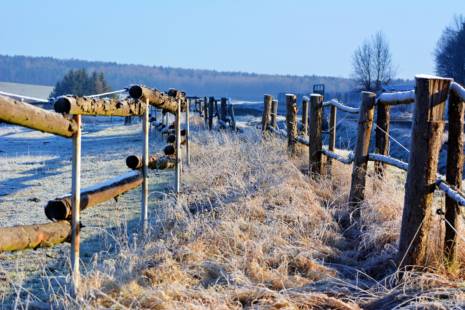 Fences around fields with snow on