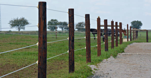 Horse Fencing