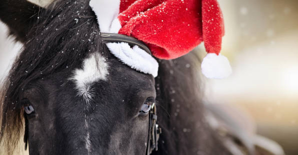 Horse wearing a santa hat