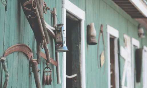 Various equestrian tools hanging on the walls of a green stable