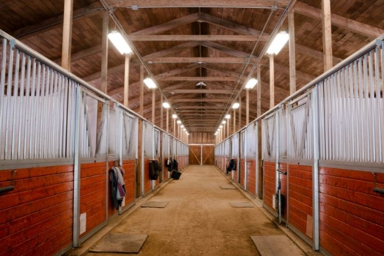 Horse stable lighting