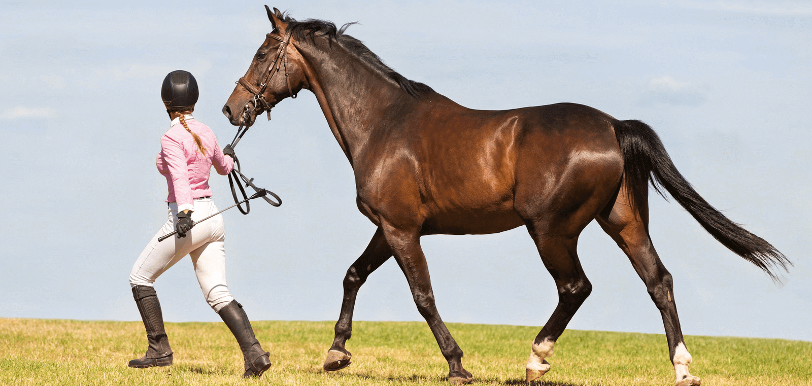 A woman jogging alongside her brown horse.