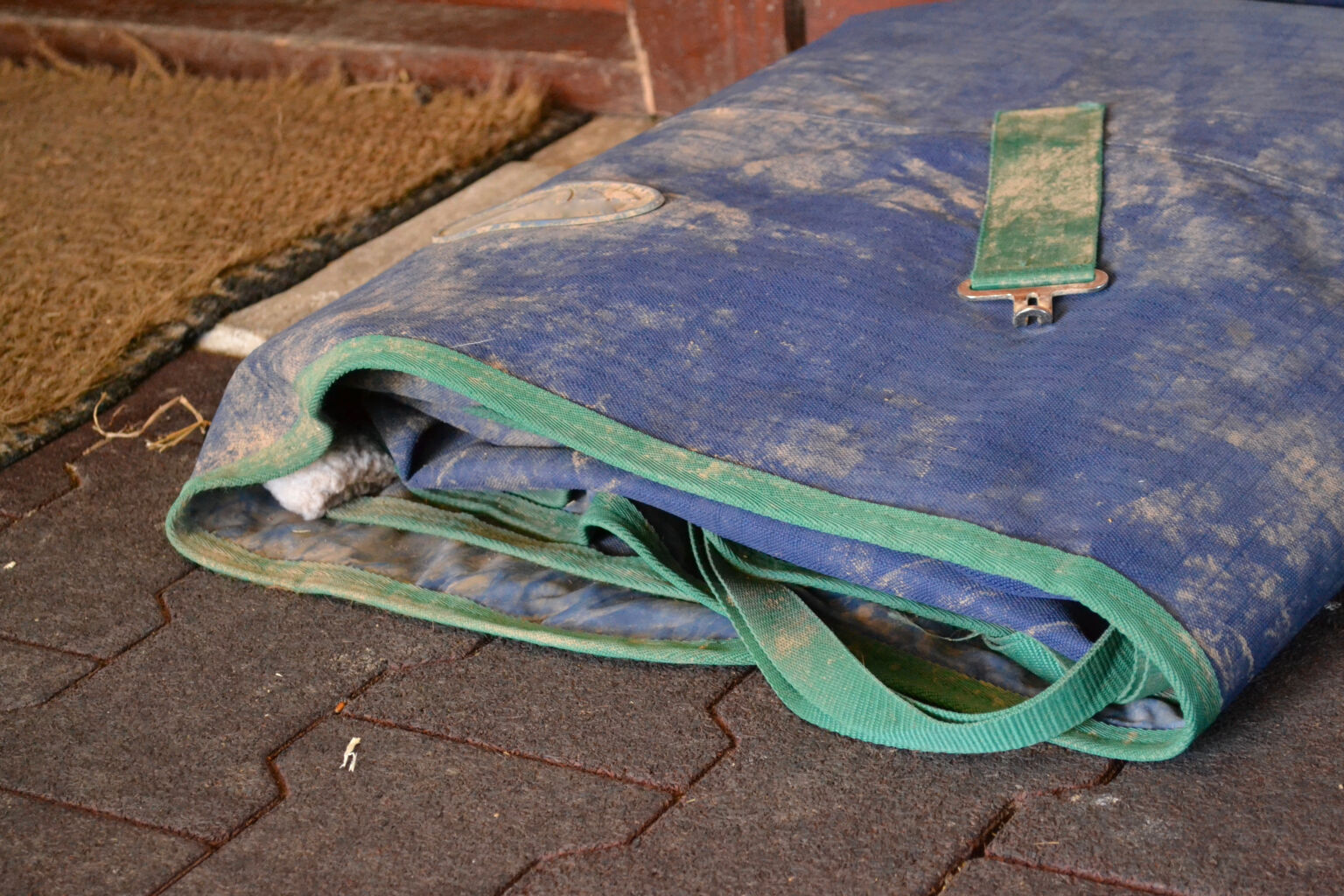 The Ultimate Horse Rug Guide | Vale Stables